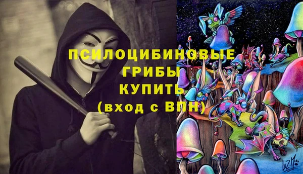 MDMA Козловка