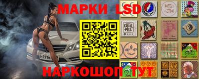 амф Гай