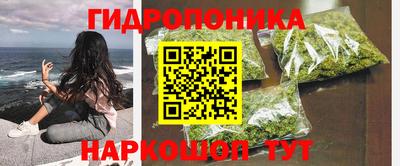 амф Гай