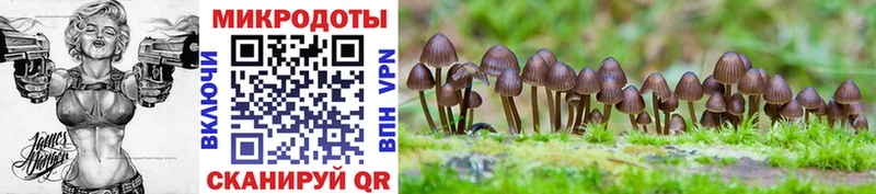 Псилоцибиновые грибы Psilocybe  Коркино 