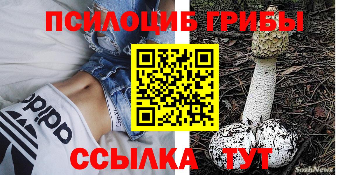 Псилоцибиновые грибы Psilocybine cubensis Коркино