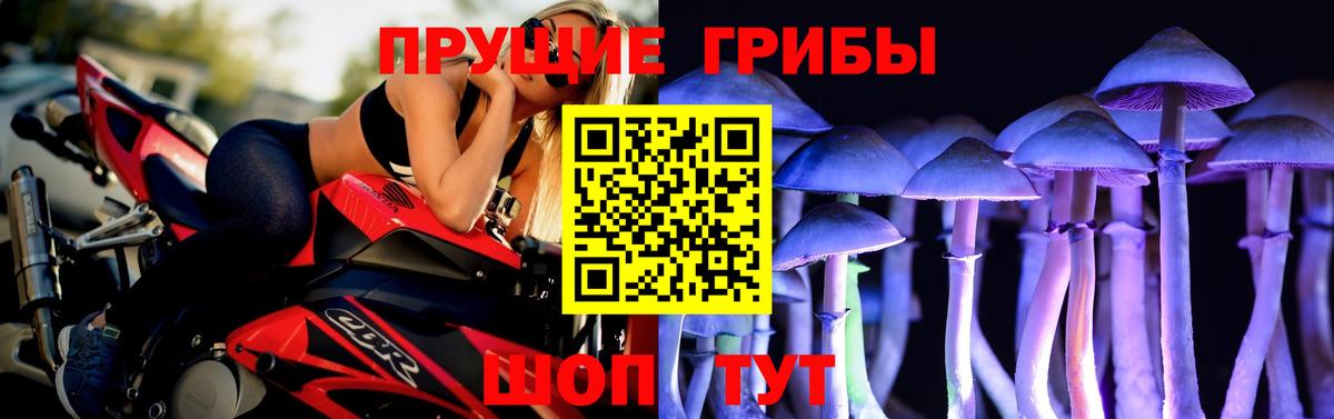 Коркино  Псилоцибиновые грибы мицелий  Вход с VPN  закладка  Псилоцибиновые грибы ЛСД 